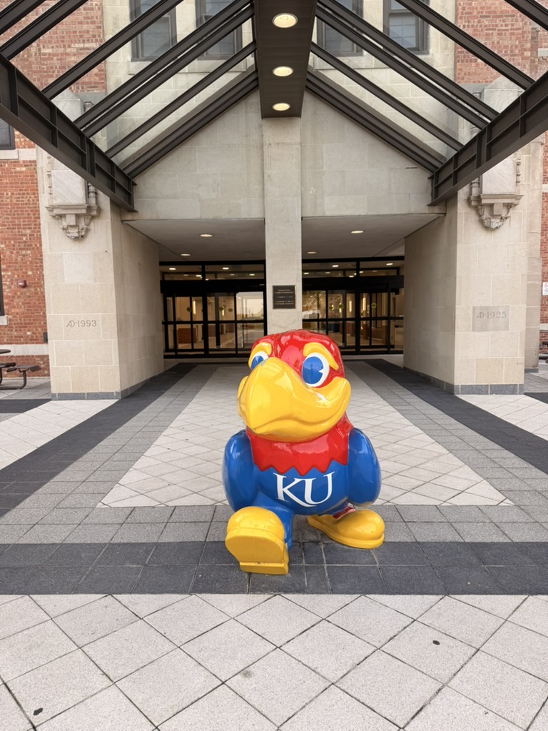 A crimson, blue, and yellow Jayhawk statue on campus